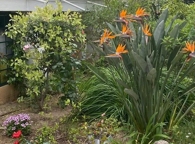 Pavillon D'angleterre Au Coeur De La Ментона